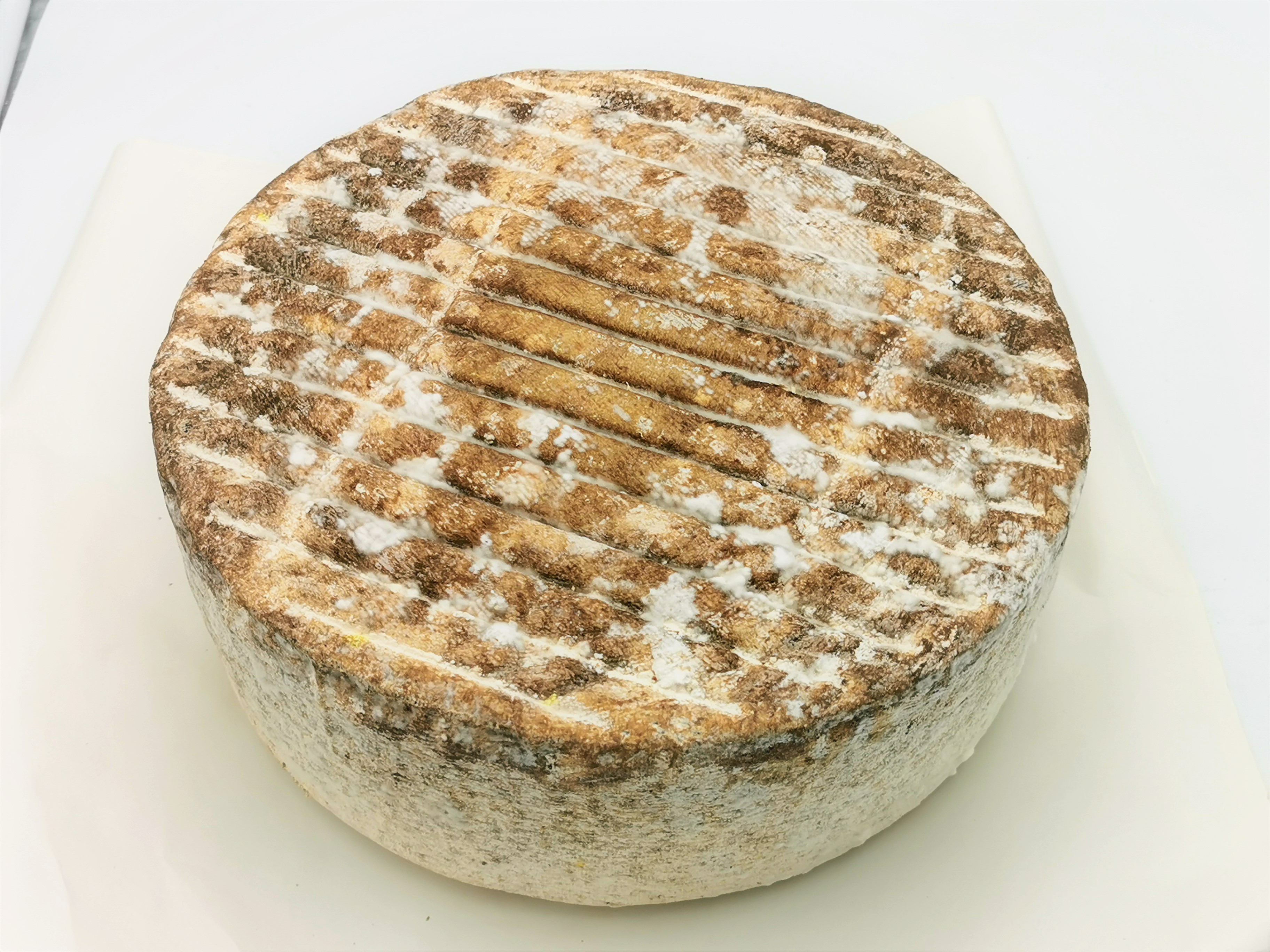 TOMME DES PYRENEES PUR BREBIS "ONETIK"